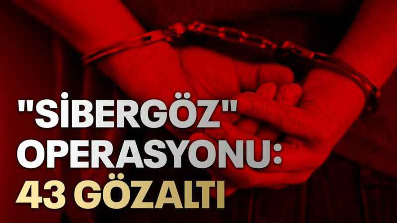 "Sibergöz" operasyonu: 43 gözaltı